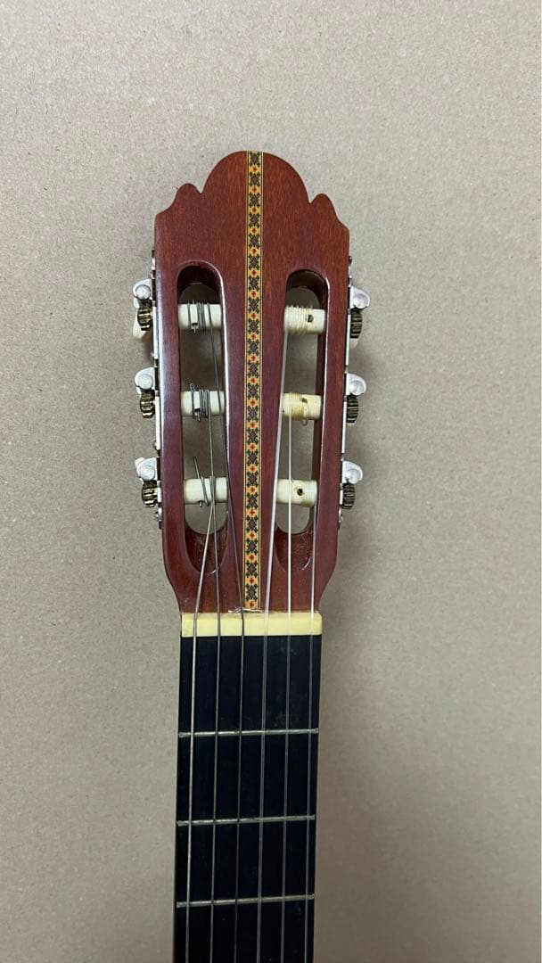 Acks ギター ソフトケース付き