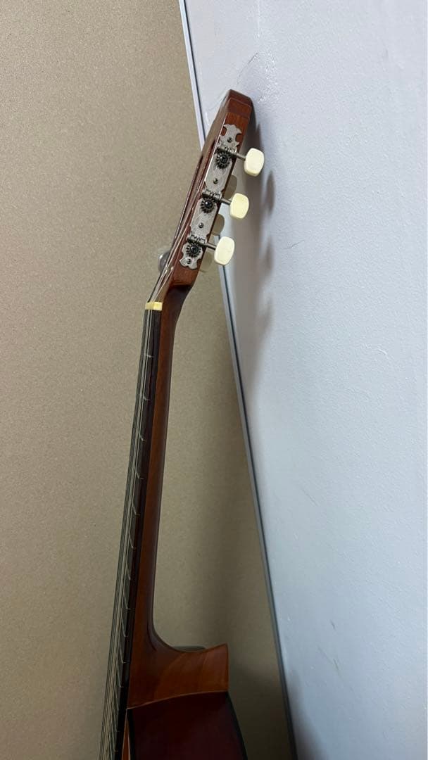 Acks ギター ソフトケース付き