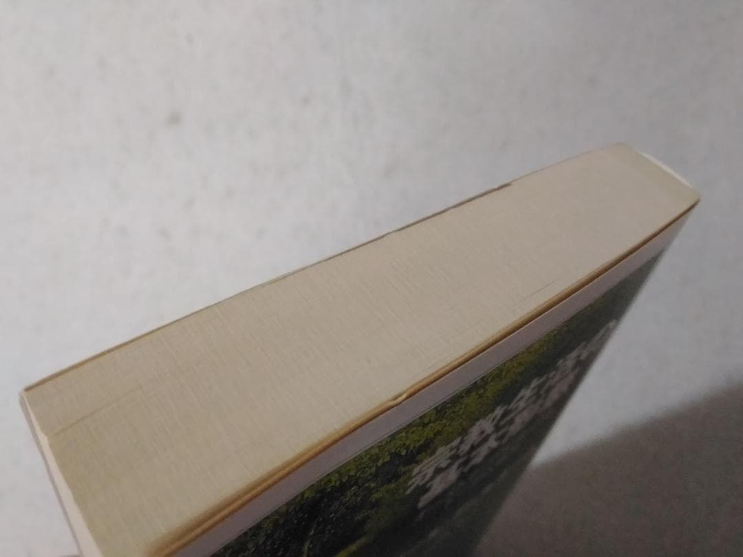 宗教生活の基本形態 下巻のみ オーストラリアにおけるトーテム体系 ちくま学芸文庫