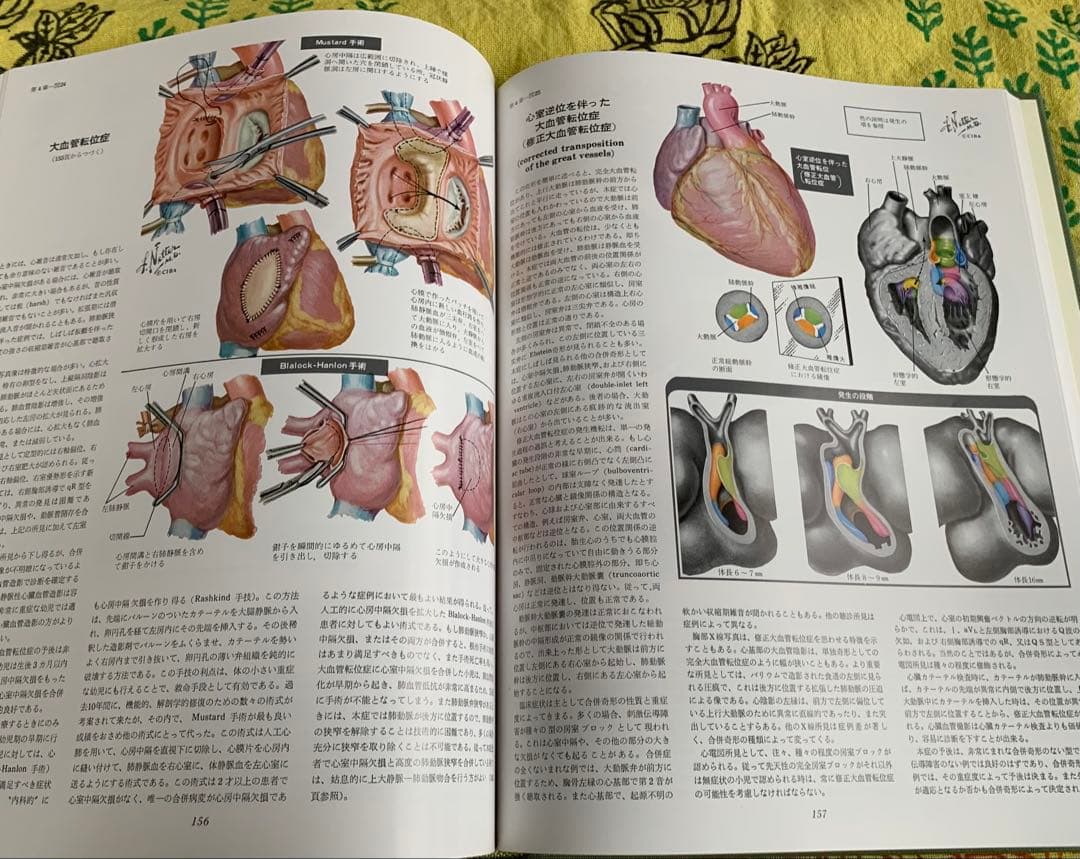 ⭐︎医学生理学図譜 心臓編 第5巻⭐︎
