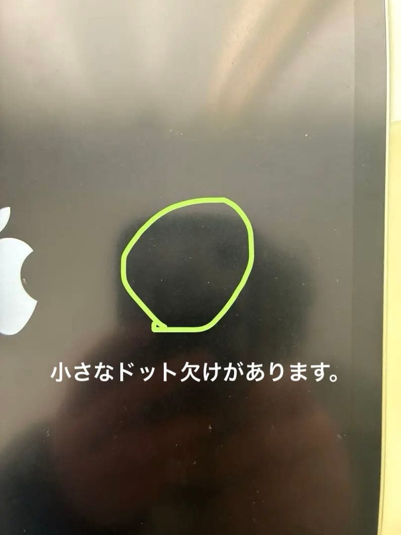 iPad Pro 12.9インチ 第3世代 256GB Wi-Fiモデル