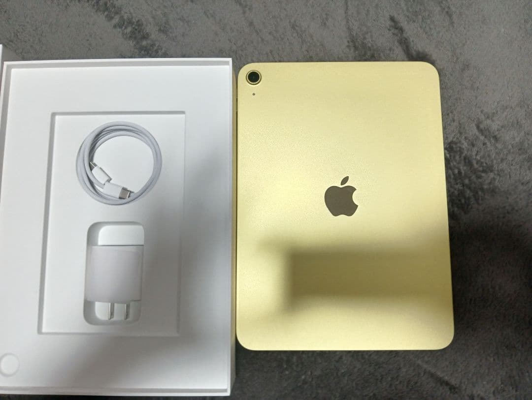 iPad11 a16 Apple 本体　極美品
