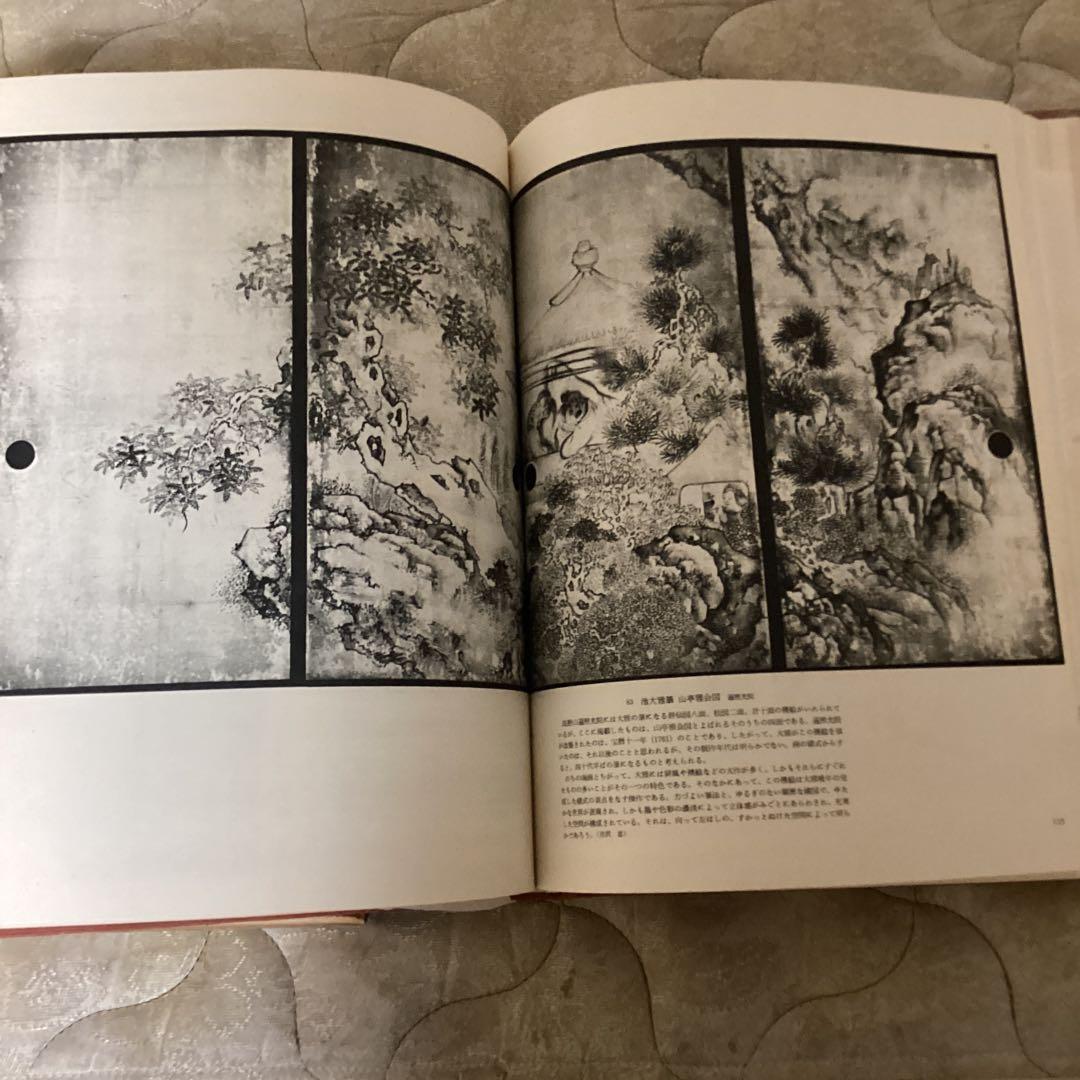 近世絵画　日本美術大系v 浅野長武監修　大塚巧藝写真　講談社写真部