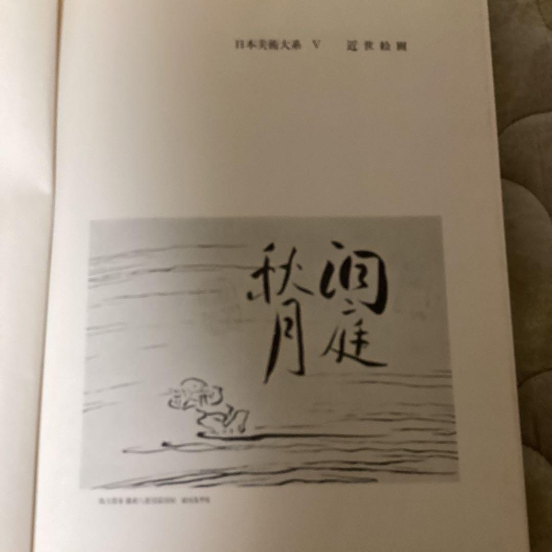 近世絵画　日本美術大系v 浅野長武監修　大塚巧藝写真　講談社写真部