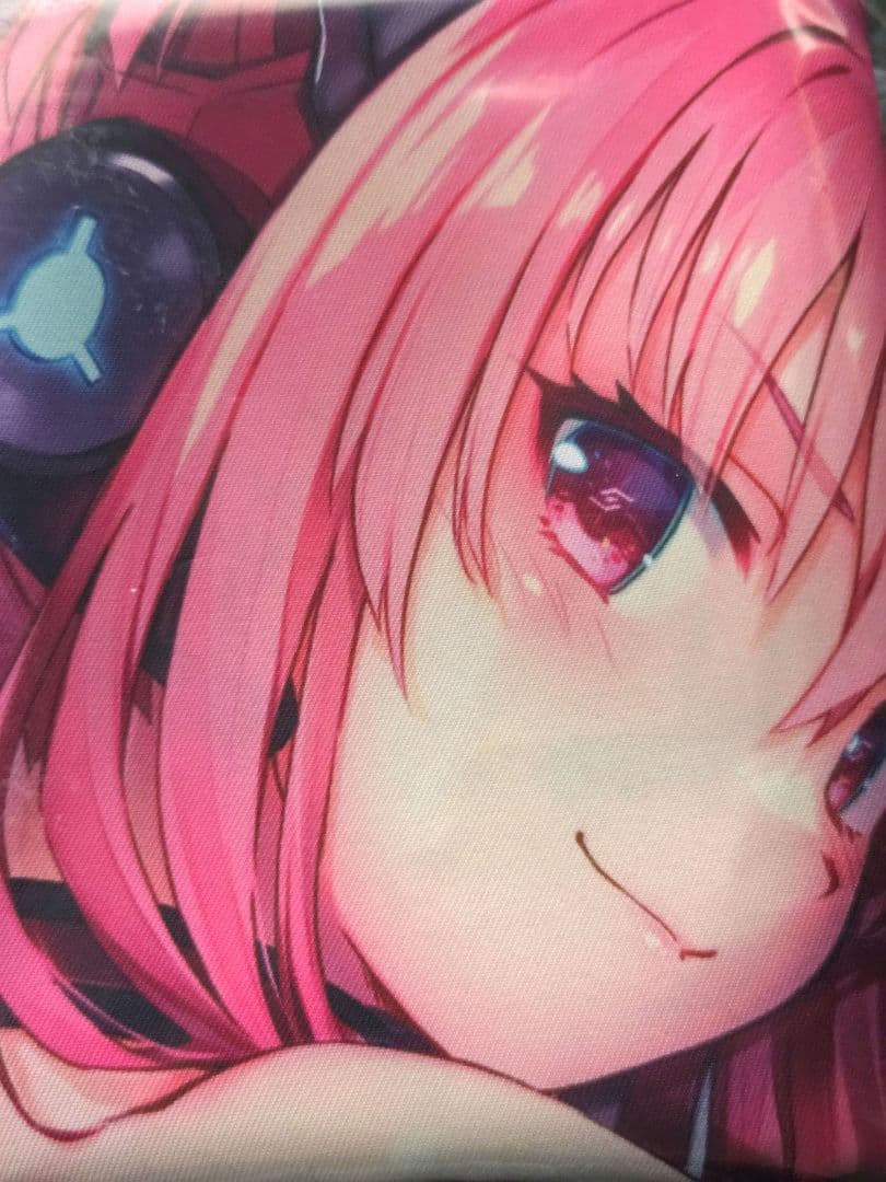 SDVX グレイス ロングクッションカバーとe-passのセット