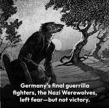 2345aです。1944’s★ドイツ国防軍人狼部隊Wehrwolf