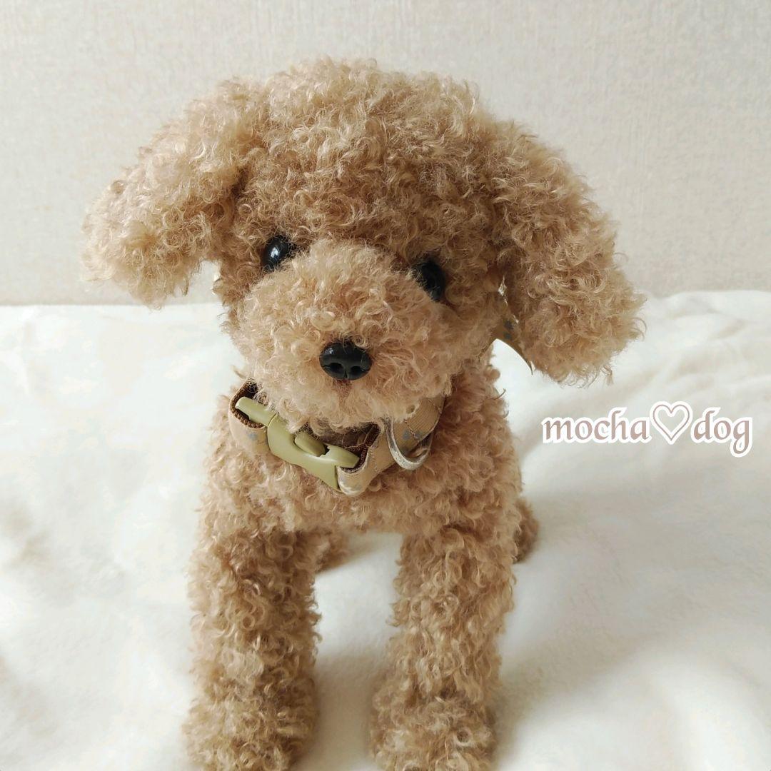 ＊mocha♡dog ＊ プードル(ラテ)☆ぬいぐるみわんこ teddy 犬