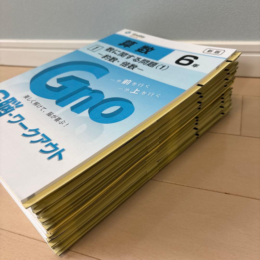 未使用 グノーブル　算数　6年　G脳　ワークアウト 全20冊