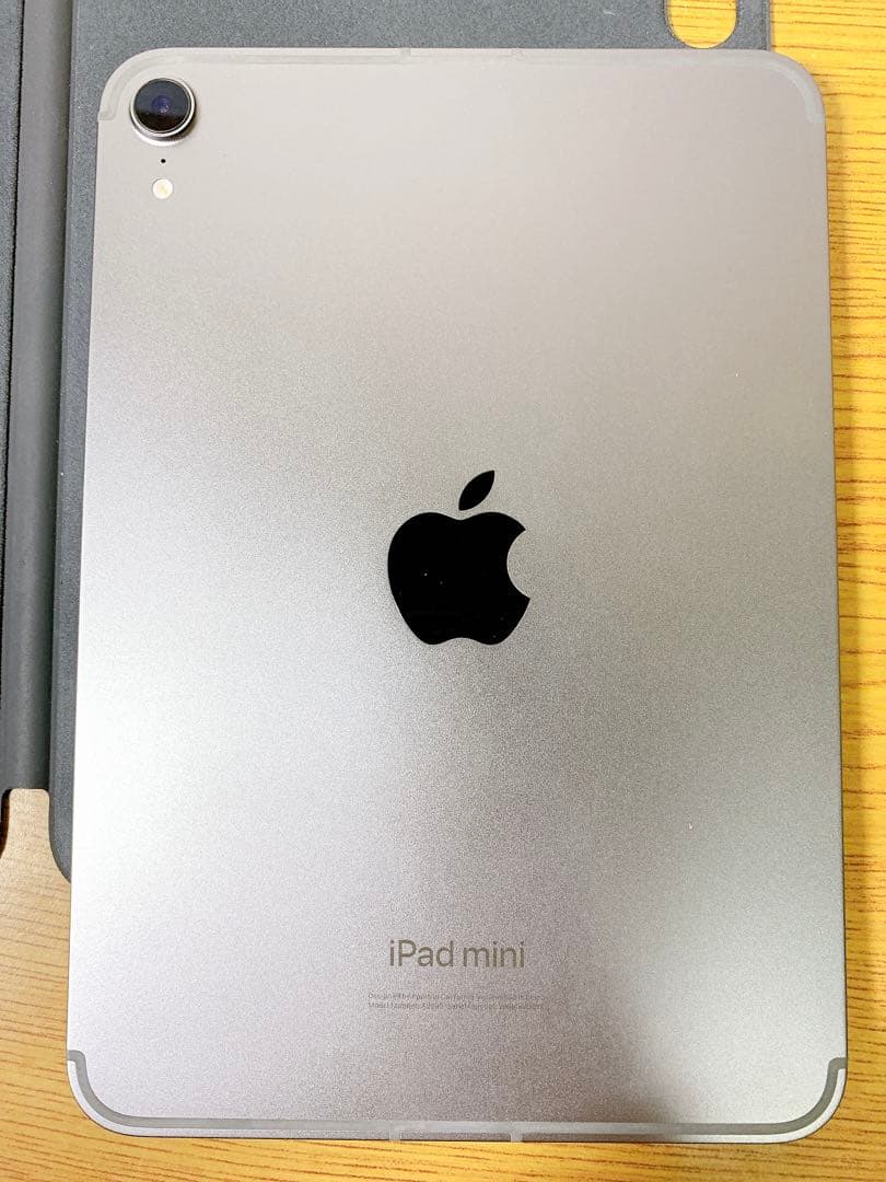 iPad本体 iPad mini (A17 Pro) Cellular 128GB