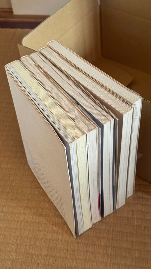 白井晟一研究　南洋堂出版