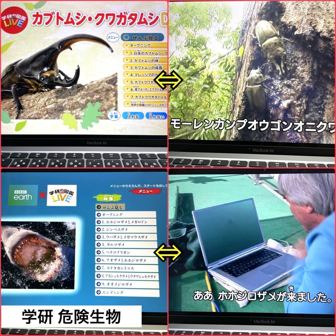 図鑑まとめ売り 16冊/小学館の図鑑neo / 学研の図鑑LIVE / 講談社