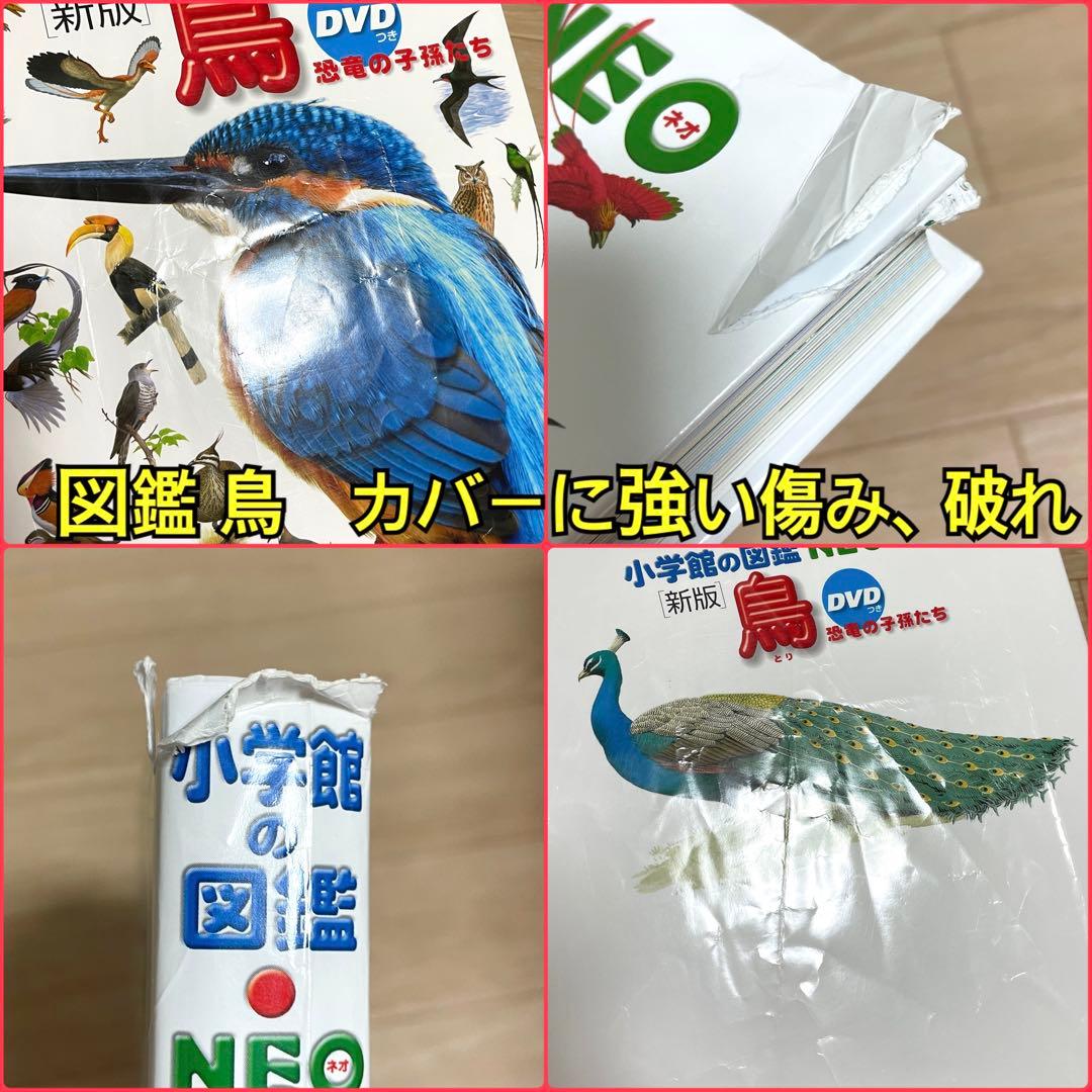 図鑑まとめ売り 16冊/小学館の図鑑neo / 学研の図鑑LIVE / 講談社