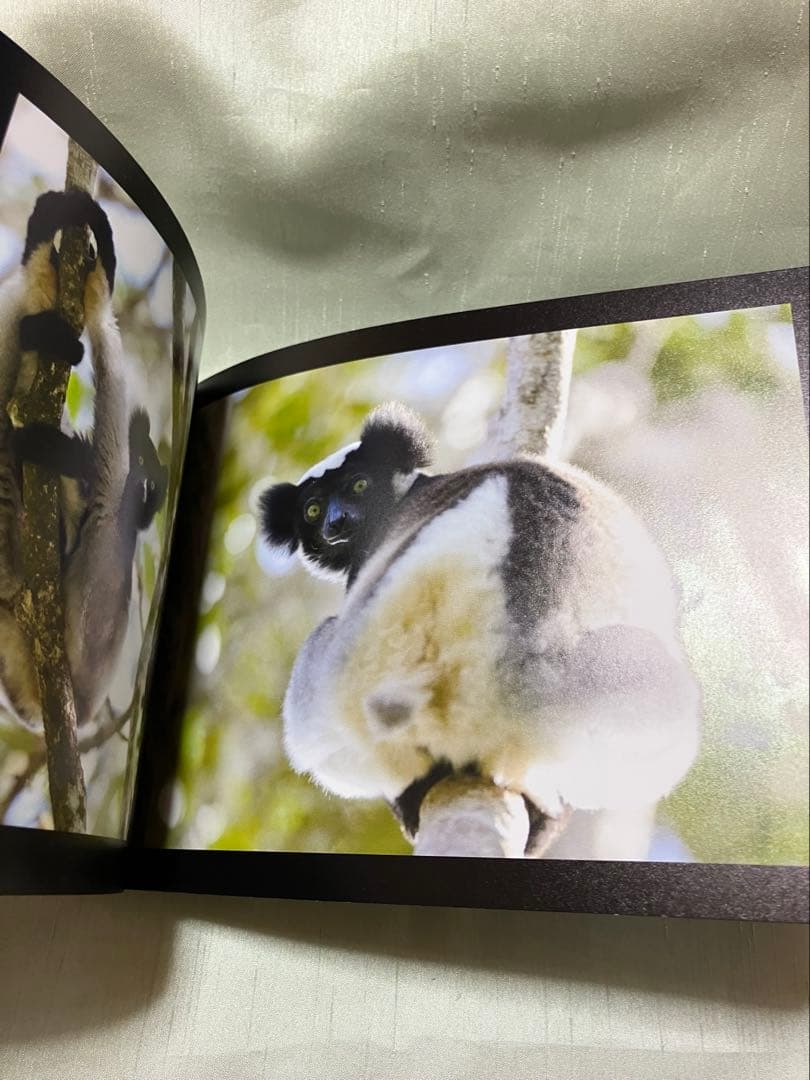 マダガスカル　写真集 MADAGASCAR　山本つねお