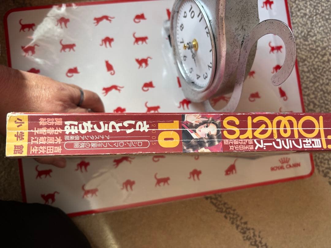 さいとうちほ　アナスタシア倶楽部 諏訪緑　巻頭カラー