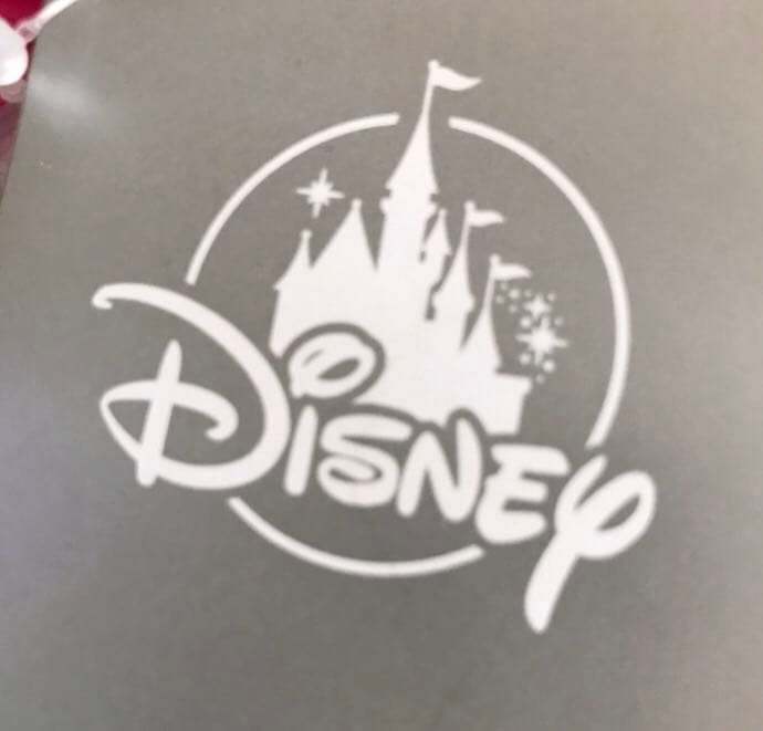 新品☆Disney ディズニー ドナルド カメラケース スティッチ