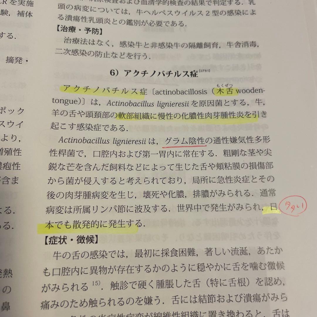獣医内科学 第3版 伴侶動物編 産業動物編 2冊セット