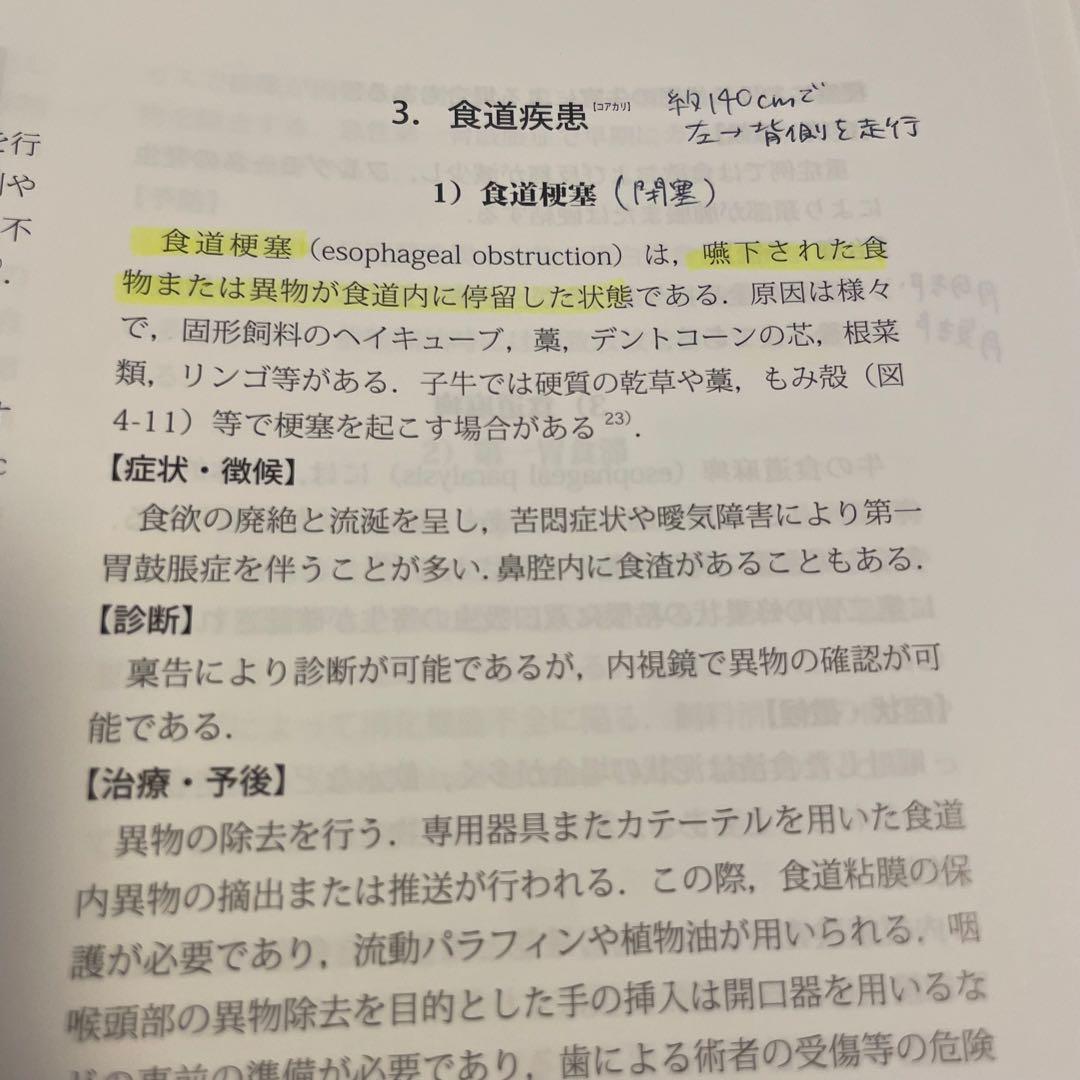 獣医内科学 第3版 伴侶動物編 産業動物編 2冊セット