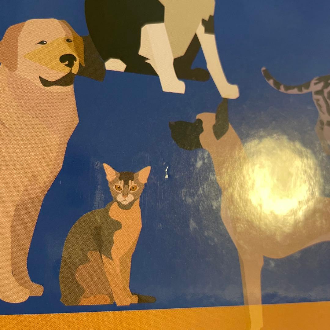 獣医内科学 第3版 伴侶動物編 産業動物編 2冊セット