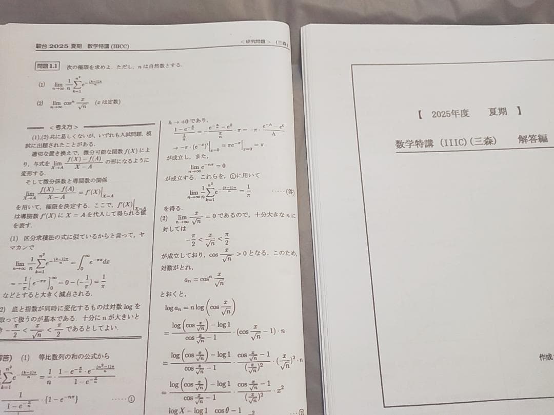 駿台　25年夏期　数学特講Ⅲ　三森司先生　講義・研究問題セット　河合塾鉄緑会東進