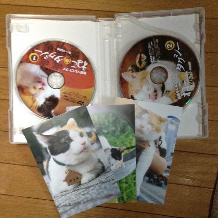 ねこタクシー  DVD  美品♪