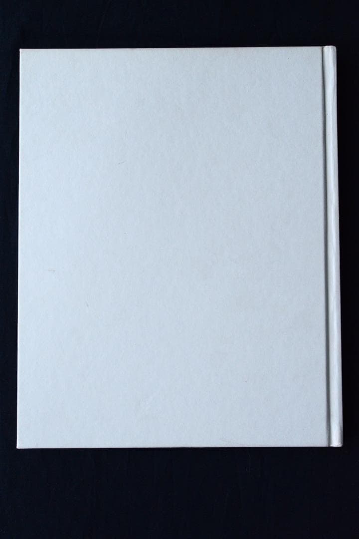 【Naoya Hatakeyama: Scales 】畠山直哉 ★新品・美本