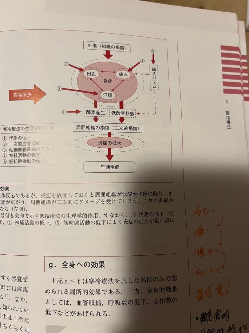 アスレティックトレーナー教本セット+指導者養成テキスト付き