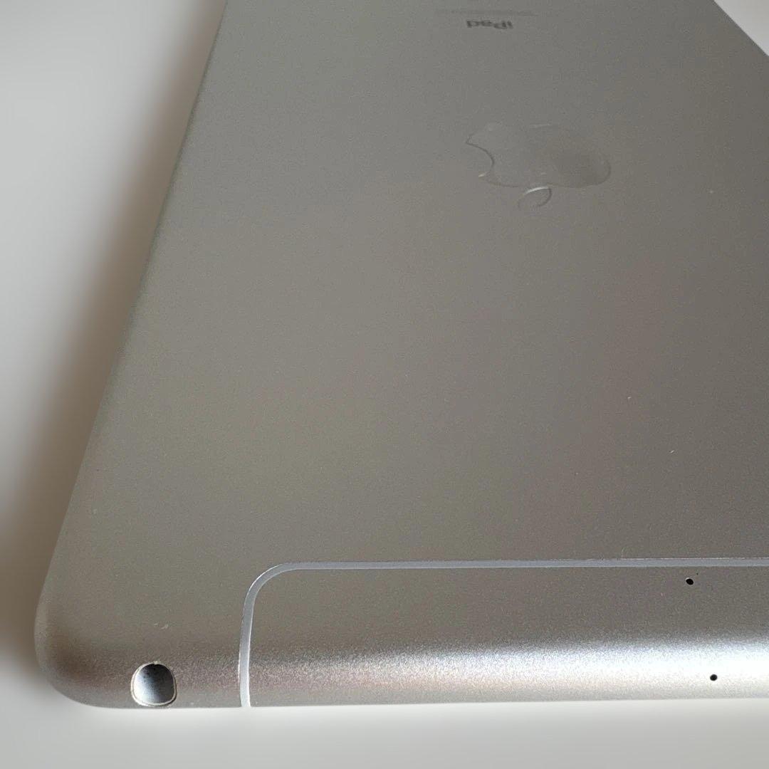 iPad mini5 セルラー 64GB SIMフリー　(76)