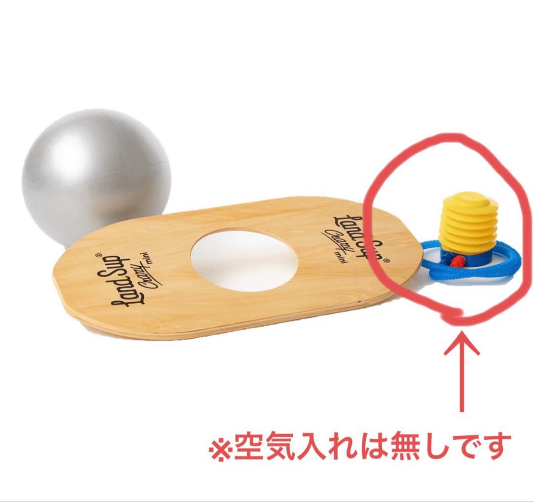 Land Sup Crazy mini バランスボードセット　体幹トレ