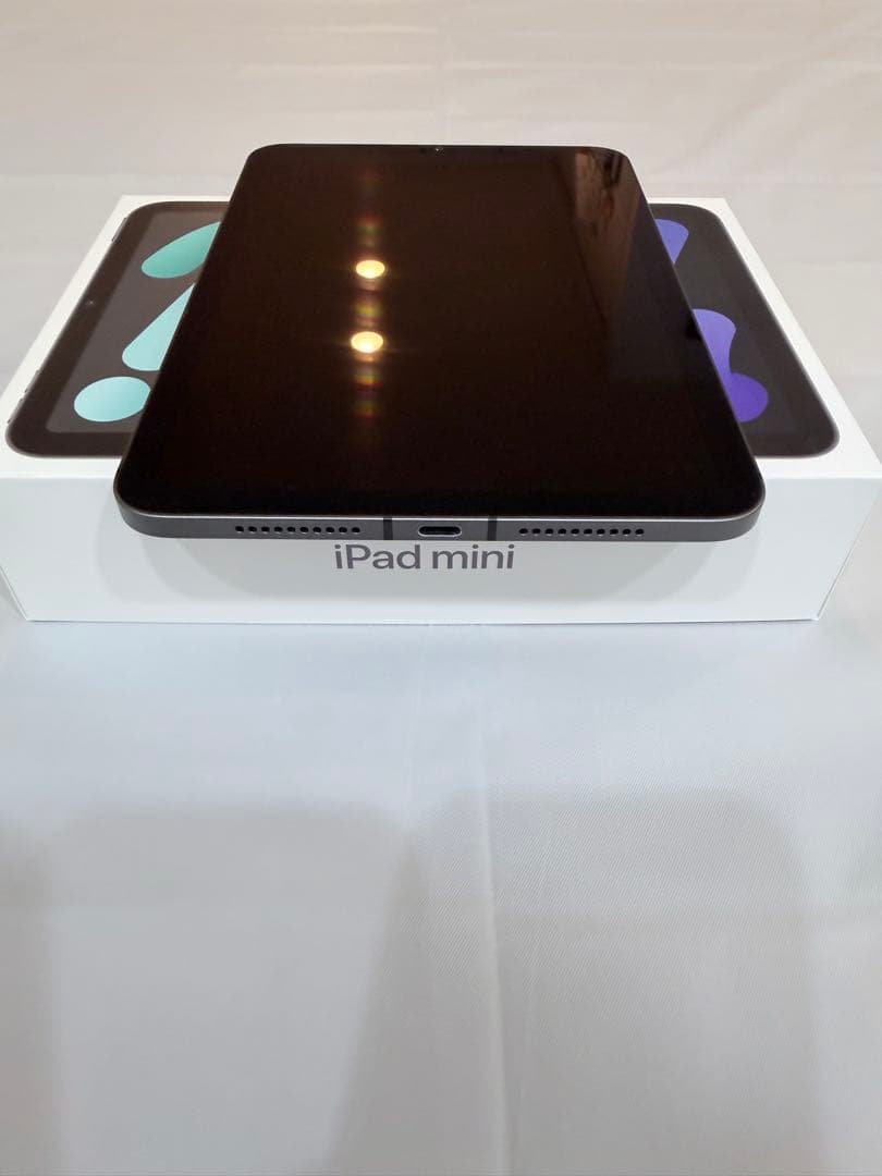 【極美品】iPad mini6 256GB SIMフリー セルラーモデル