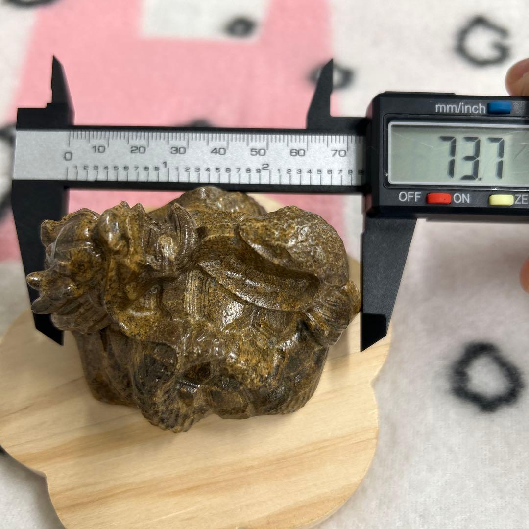 龍宮舎利石 玄武 箱付き