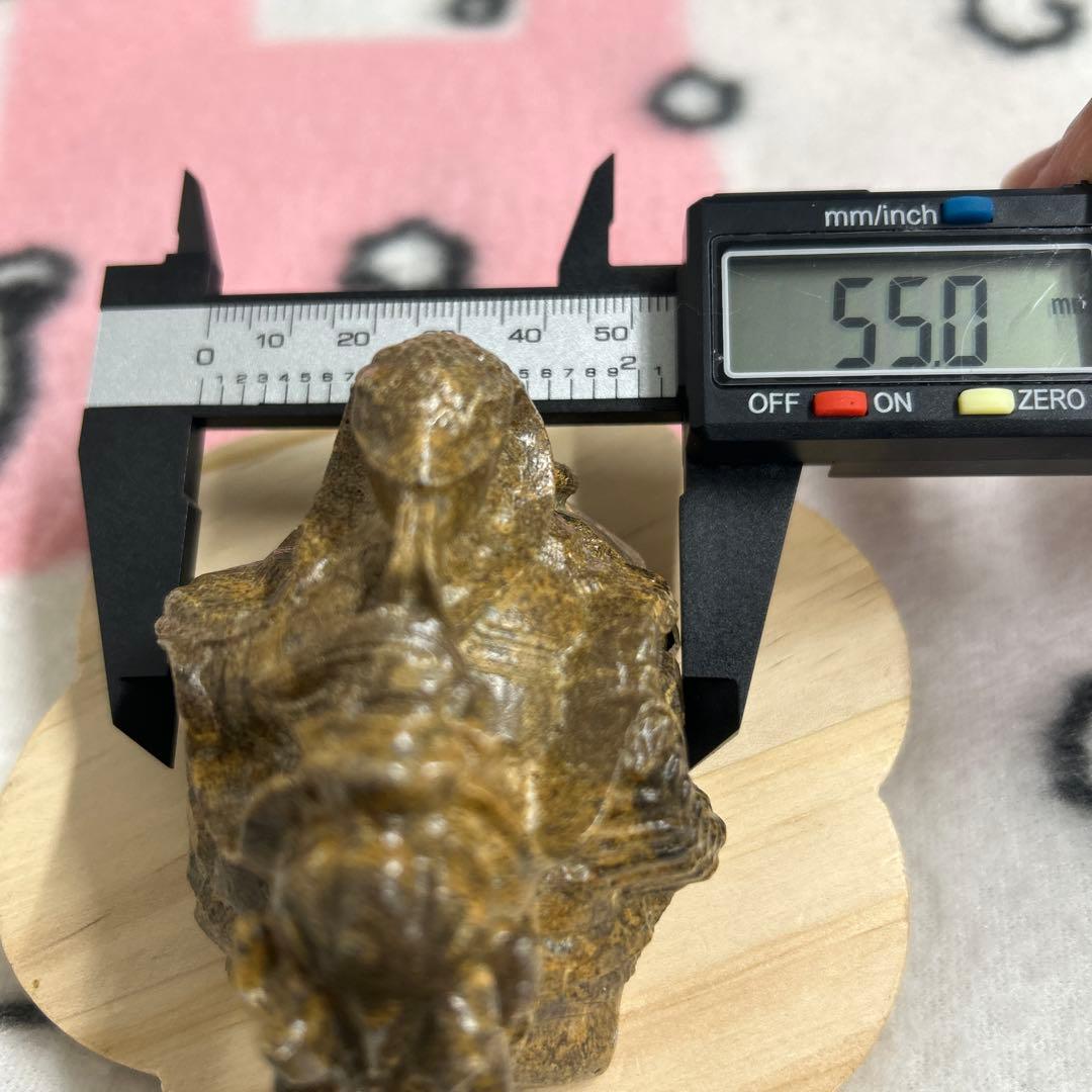 龍宮舎利石 玄武 箱付き