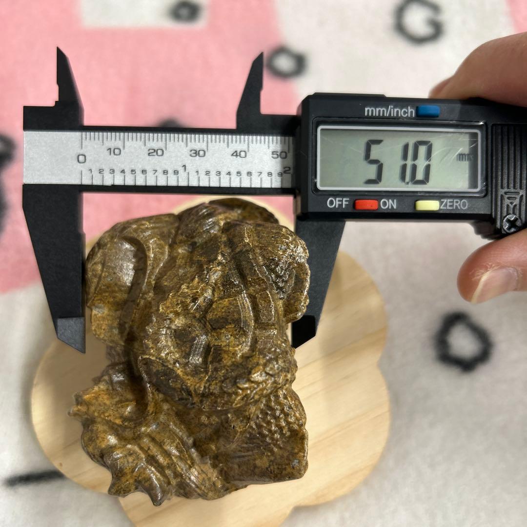 龍宮舎利石 玄武 箱付き