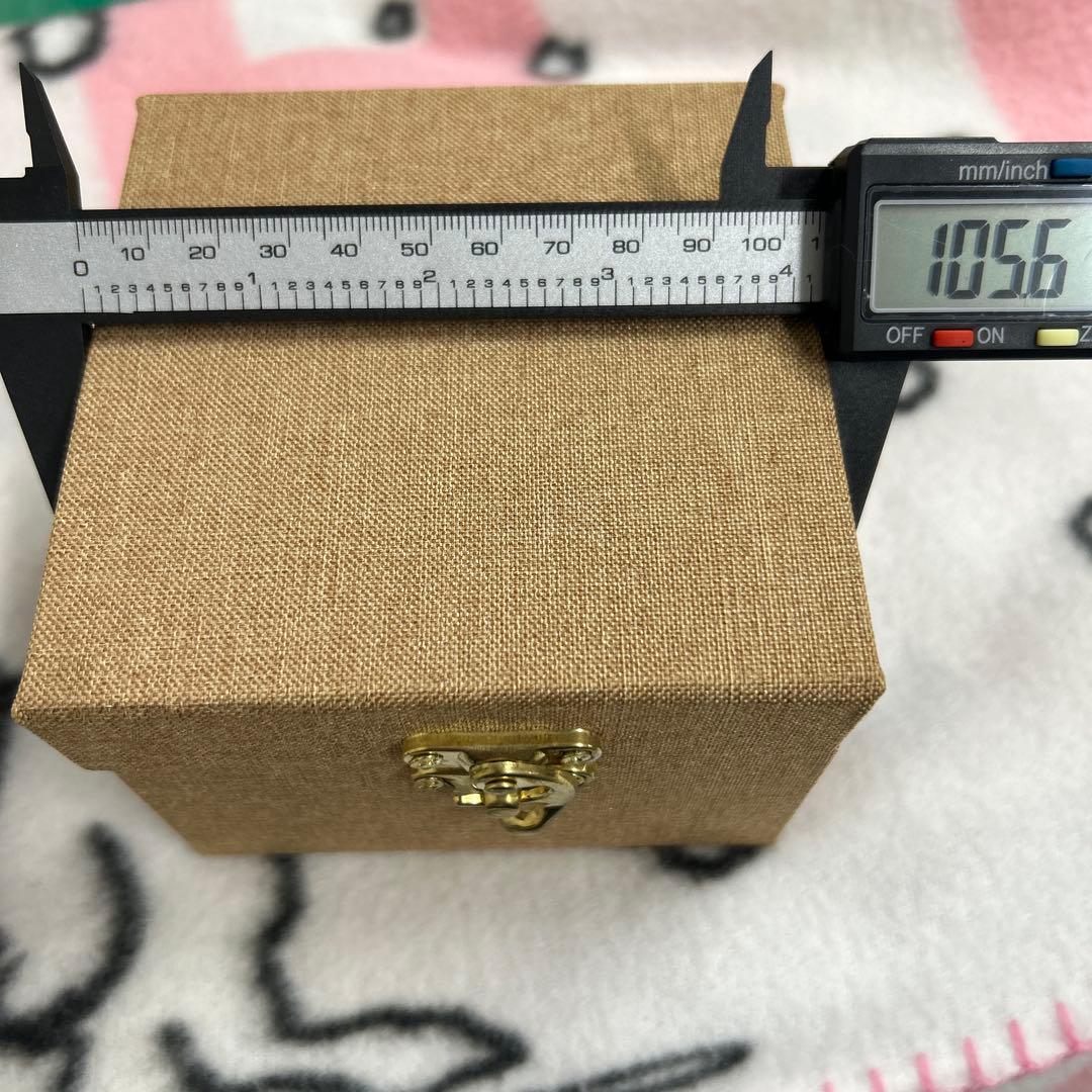 龍宮舎利石 玄武 箱付き
