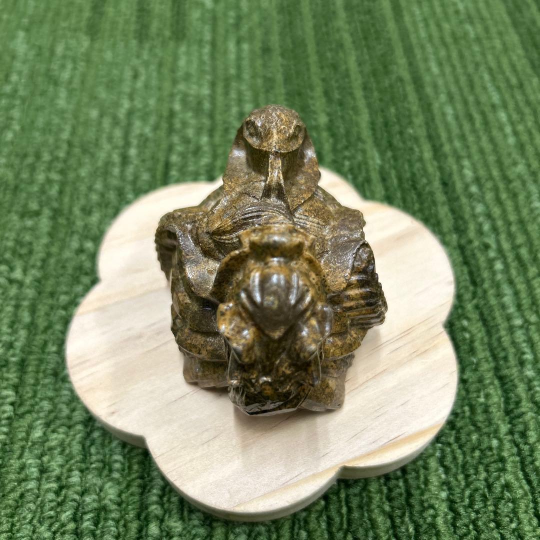 龍宮舎利石 玄武 箱付き