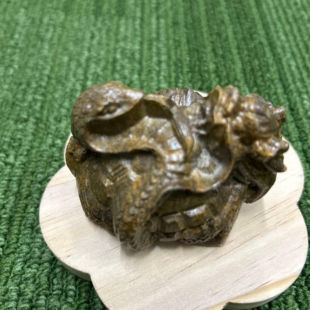 龍宮舎利石 玄武 箱付き