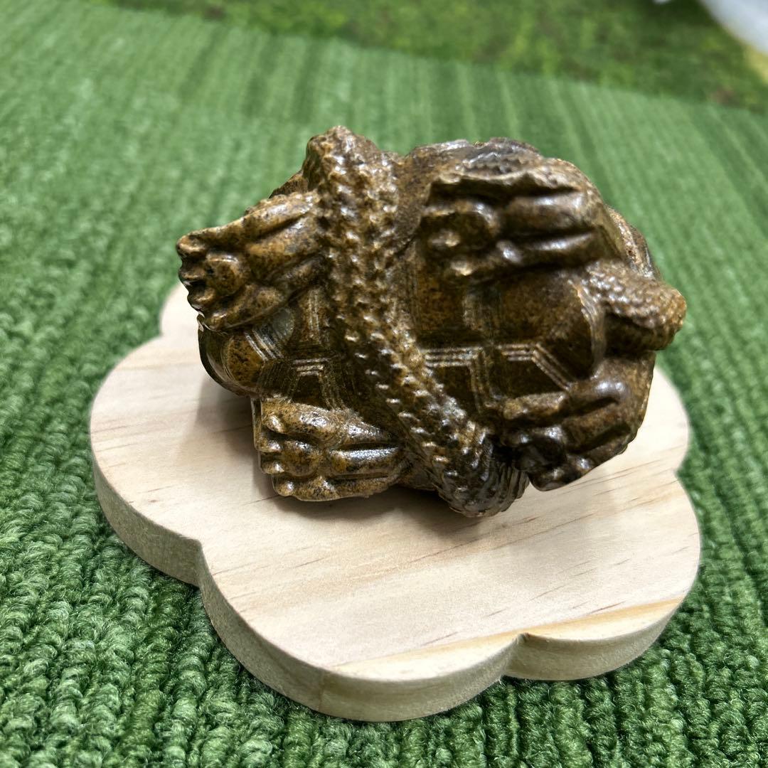 龍宮舎利石 玄武 箱付き