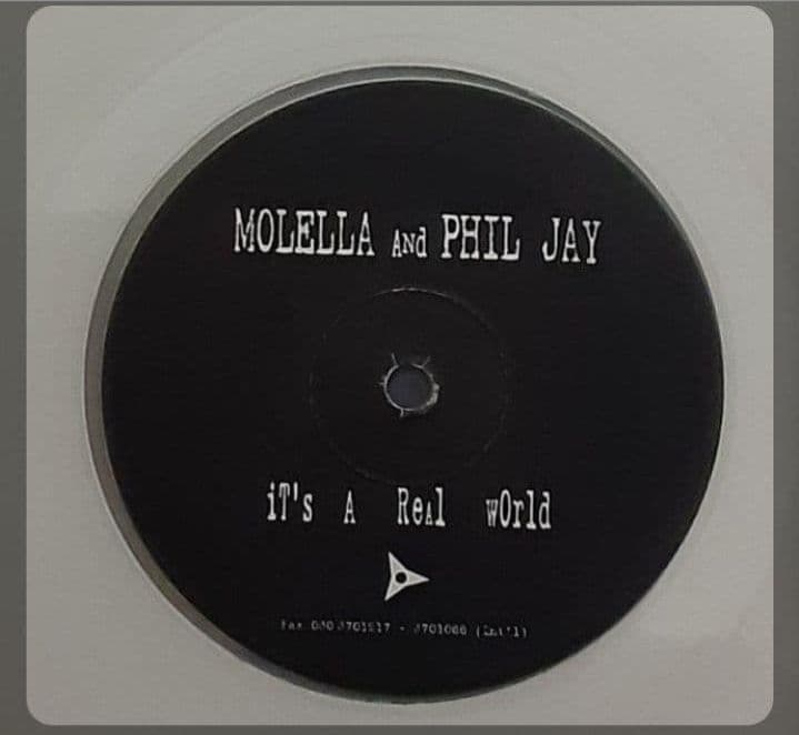 邦楽 MOLELLA and PHIL JAY It's A Real World