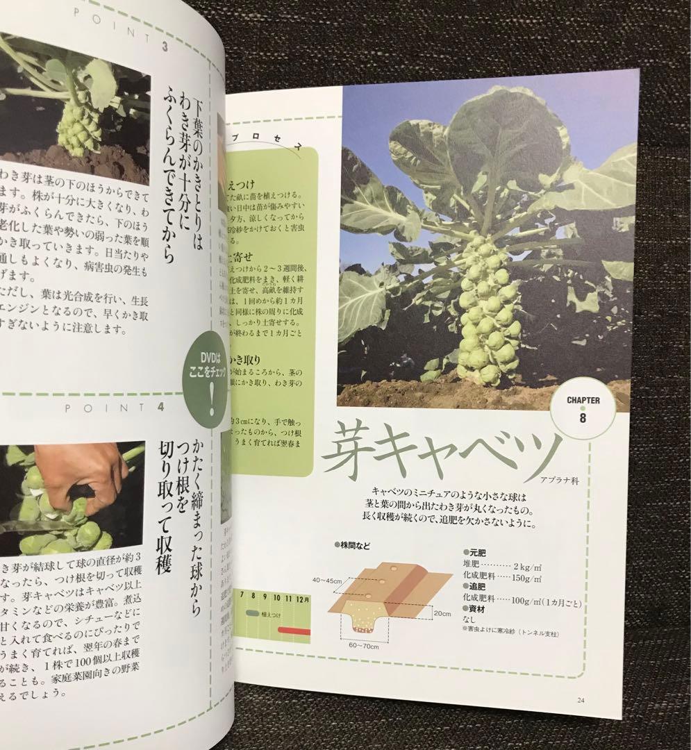 おいしい野菜づくり : DVDでマスター! 3(秋冬野菜編)