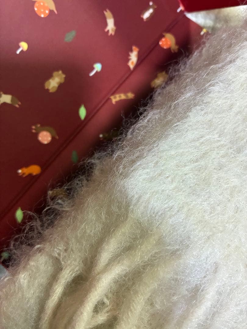 LOEWE クリーム色 マフラー フリンジ付き　箱付き