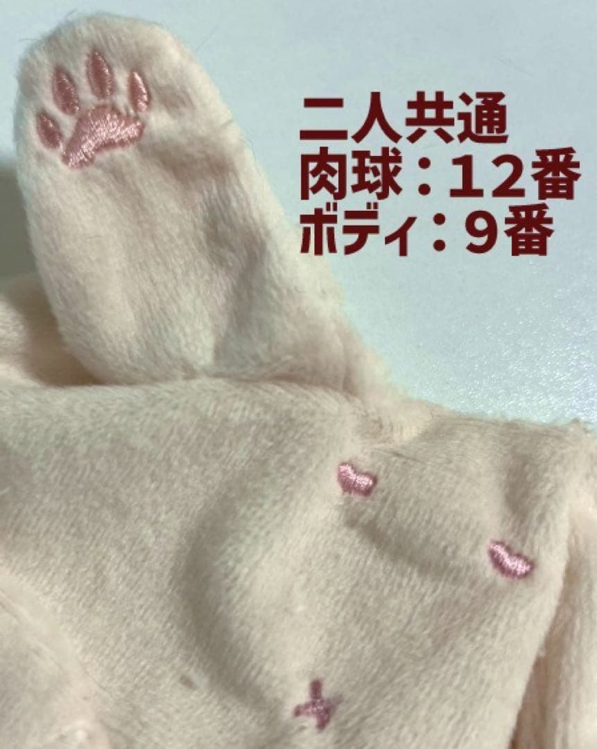 赤フードさんページ