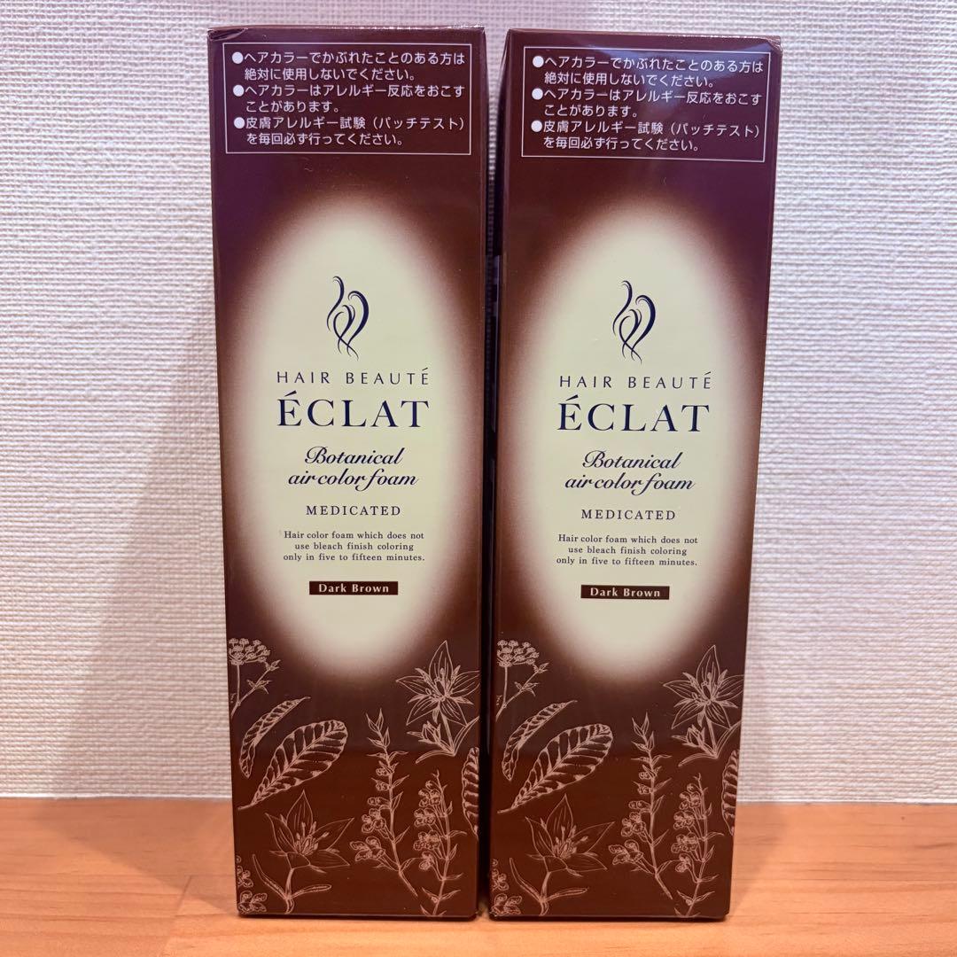 ヘアボーテ エクラ ボタニカル エアカラーフォームEX ダークブラウン2本