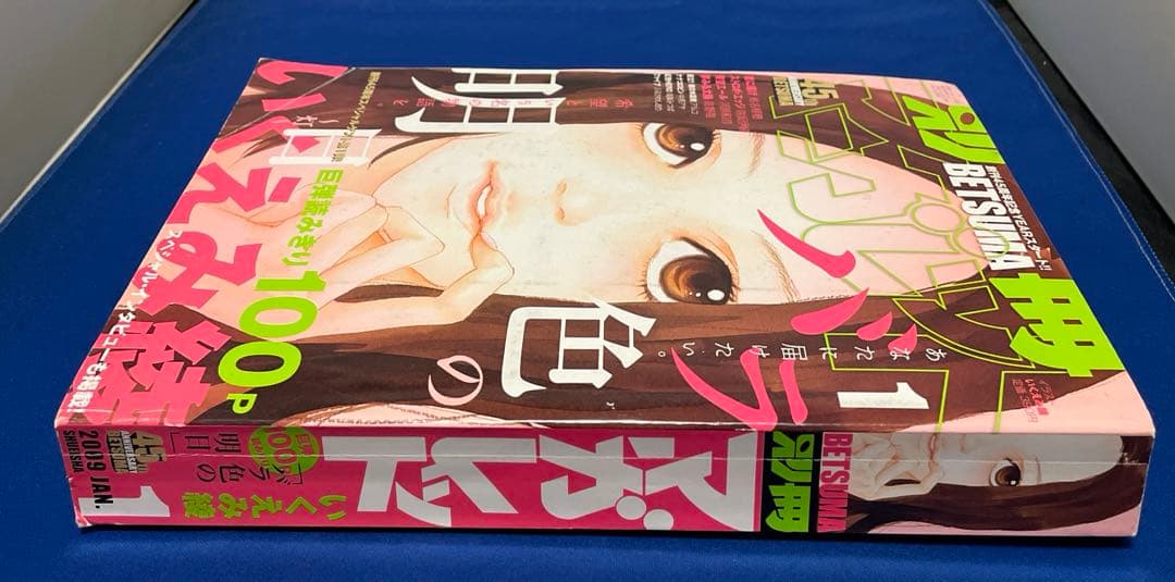 別冊マーガレット2009年1月号