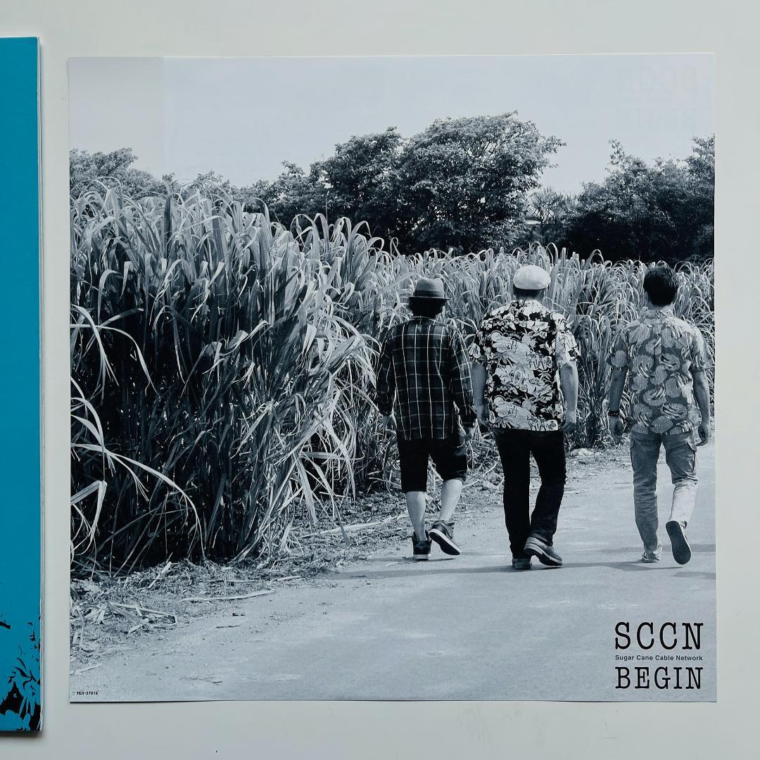 稀少限定 LP レコード〔 BEGIN ビギン Sugar Cane 〕海の声