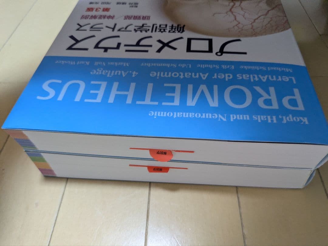 【完全新品】プロメテウス解剖学アトラス・触診技術 4冊フルセット（理学療法士）