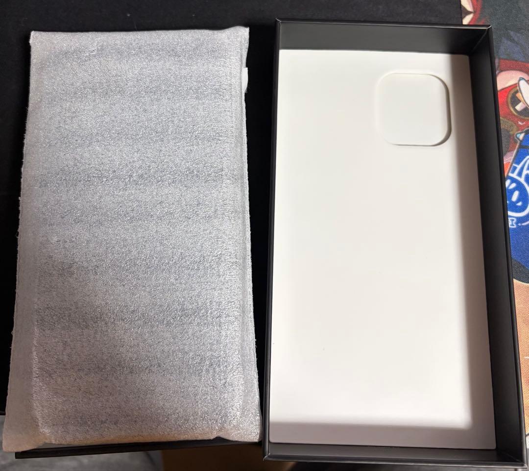バッテリーフロント画面純正新品 iPhone12promax ブルー 256GB
