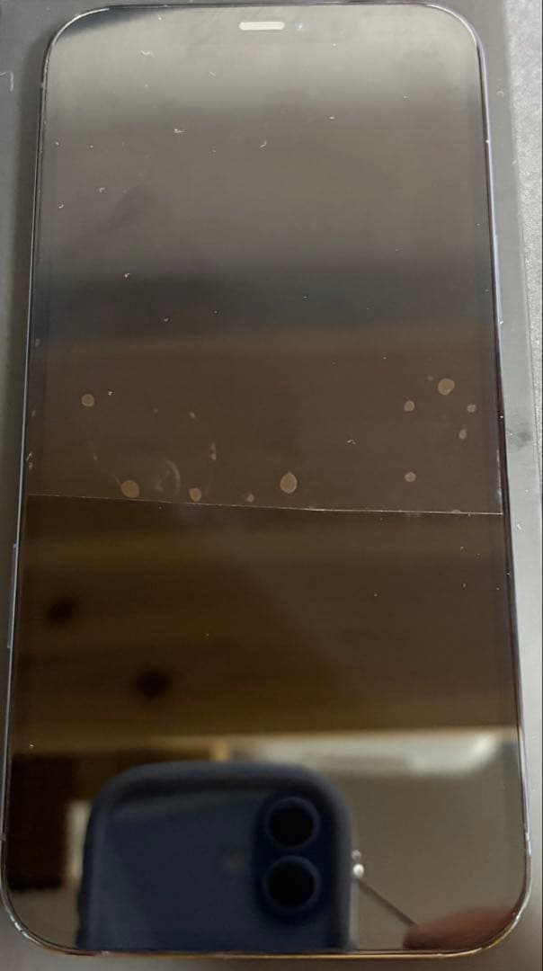 バッテリーフロント画面純正新品 iPhone12promax ブルー 256GB