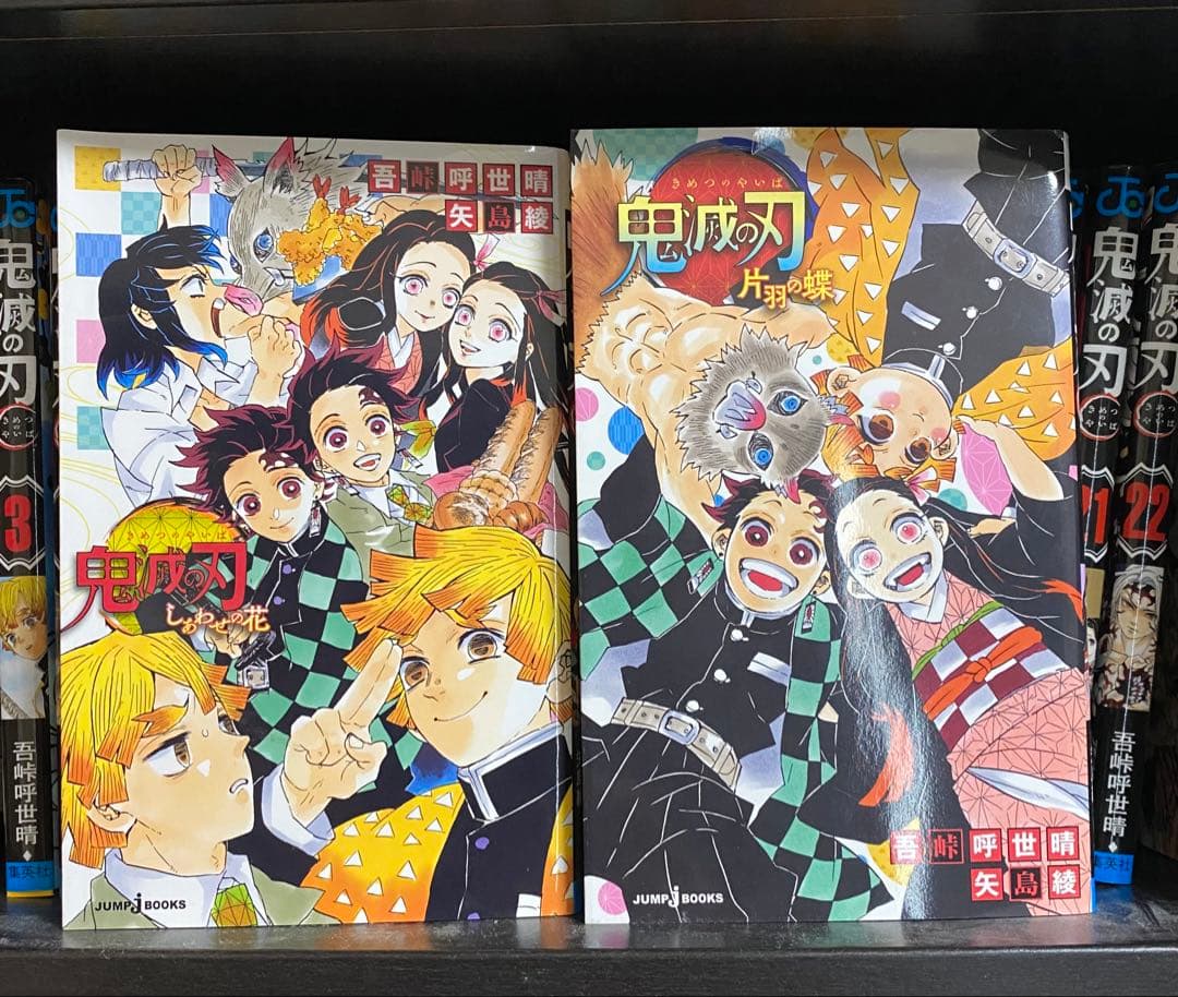 鬼滅の刃　全巻セット+ノベライズ2巻