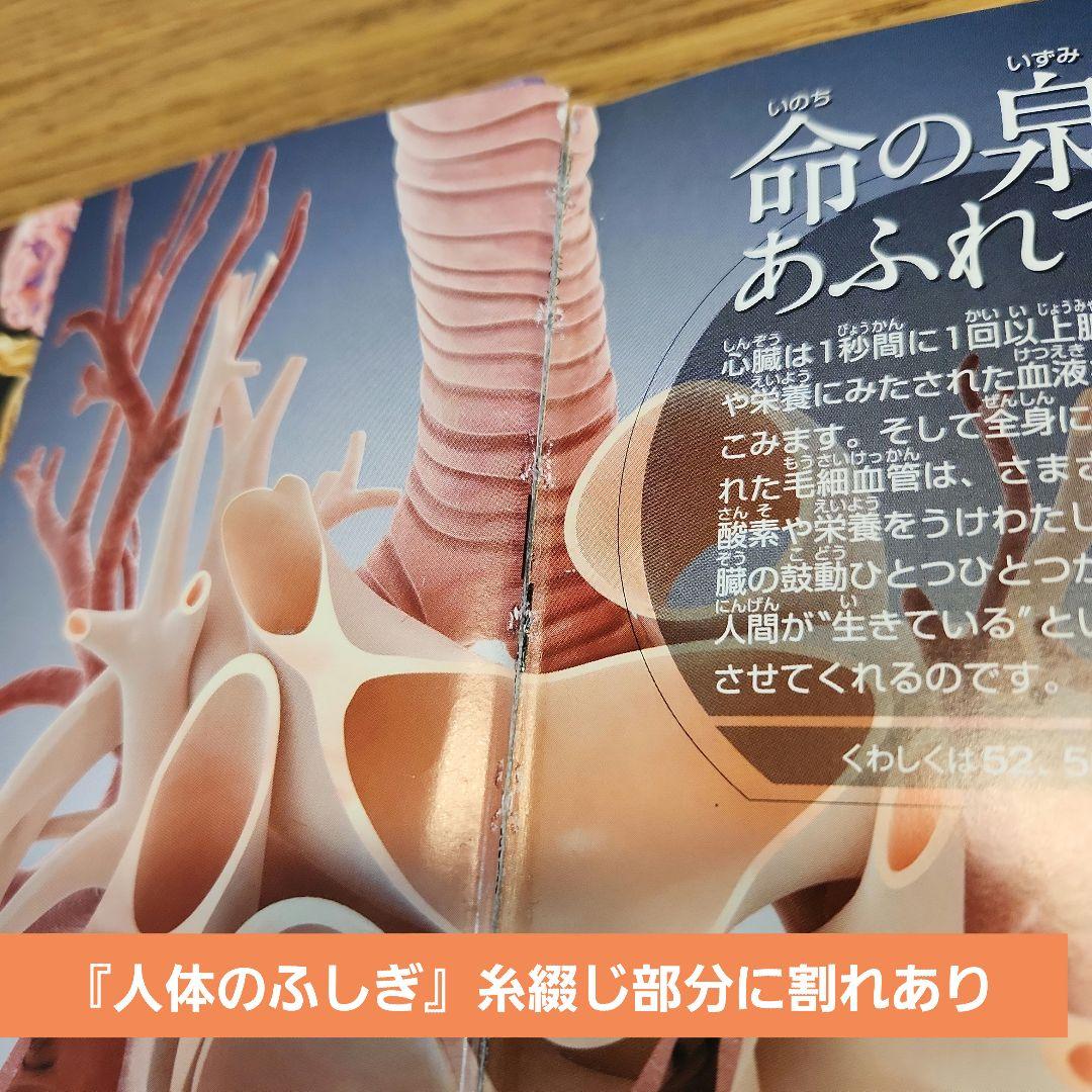 MOVE 講談社の動く図鑑 12冊セット