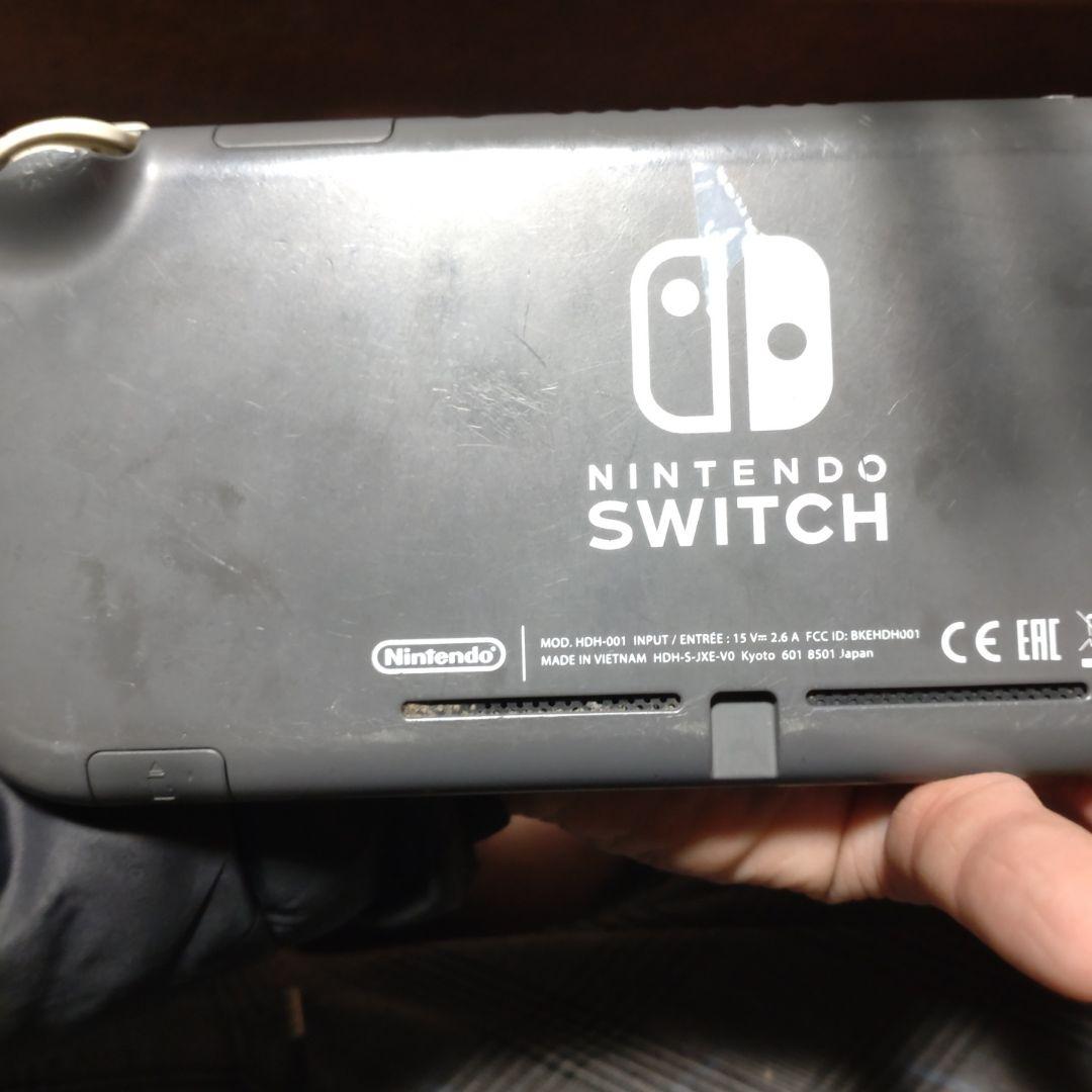Switchライトジャンク