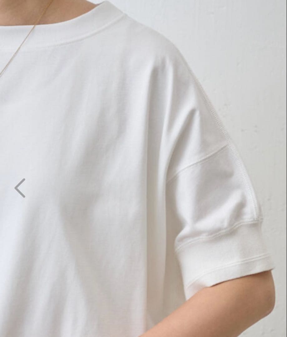 ゆらし☆ビアズリー　BEARDSLEY 刺しゅう入りドルマンT